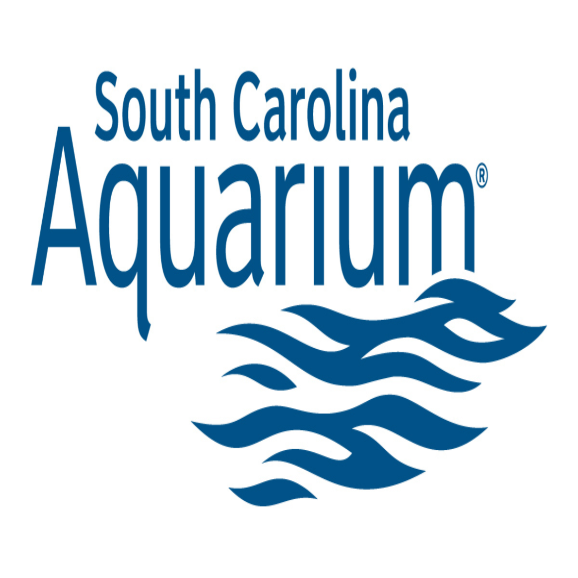 Things To Do South Carolina Aquarium